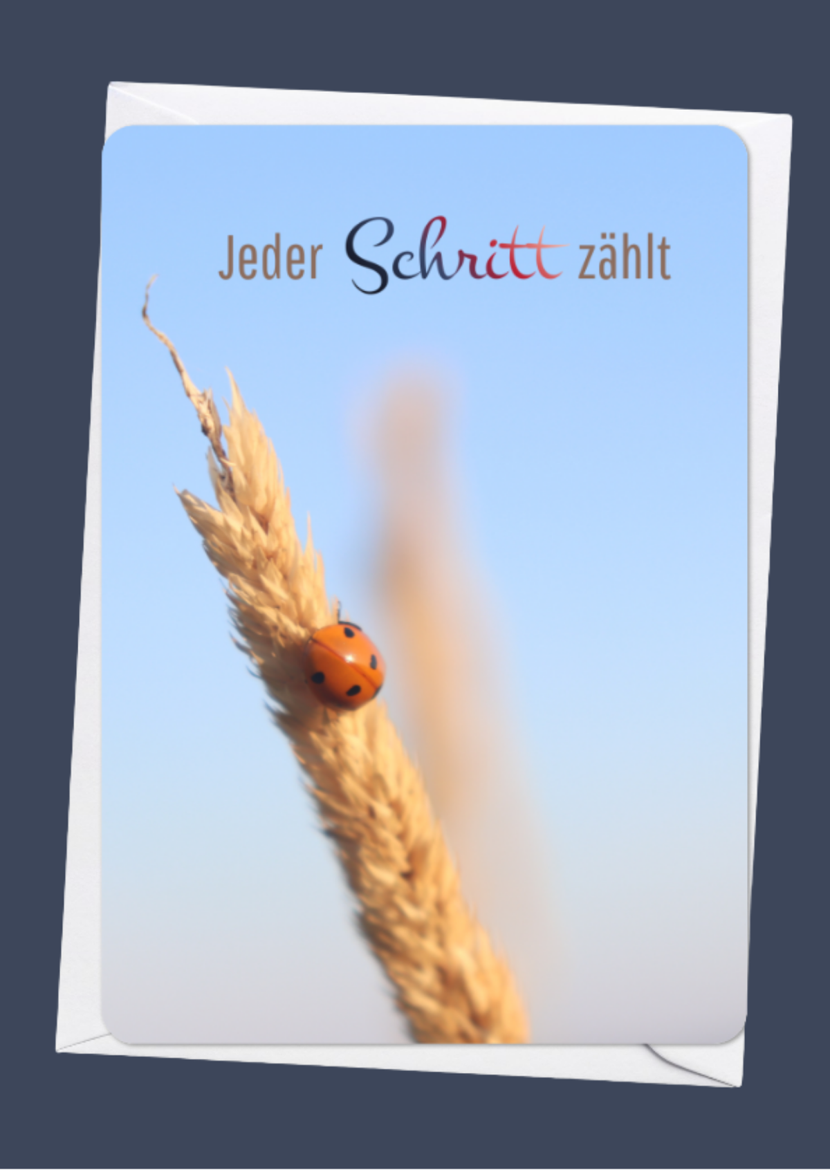 Jeder Schritt zählt
