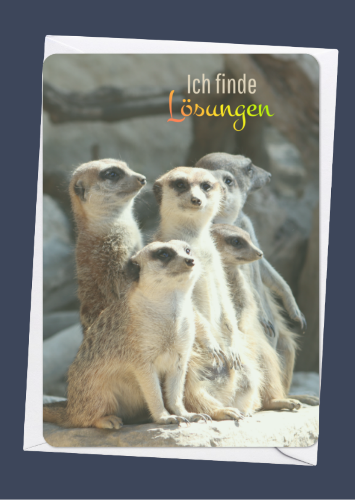 Ich finde Lösungen