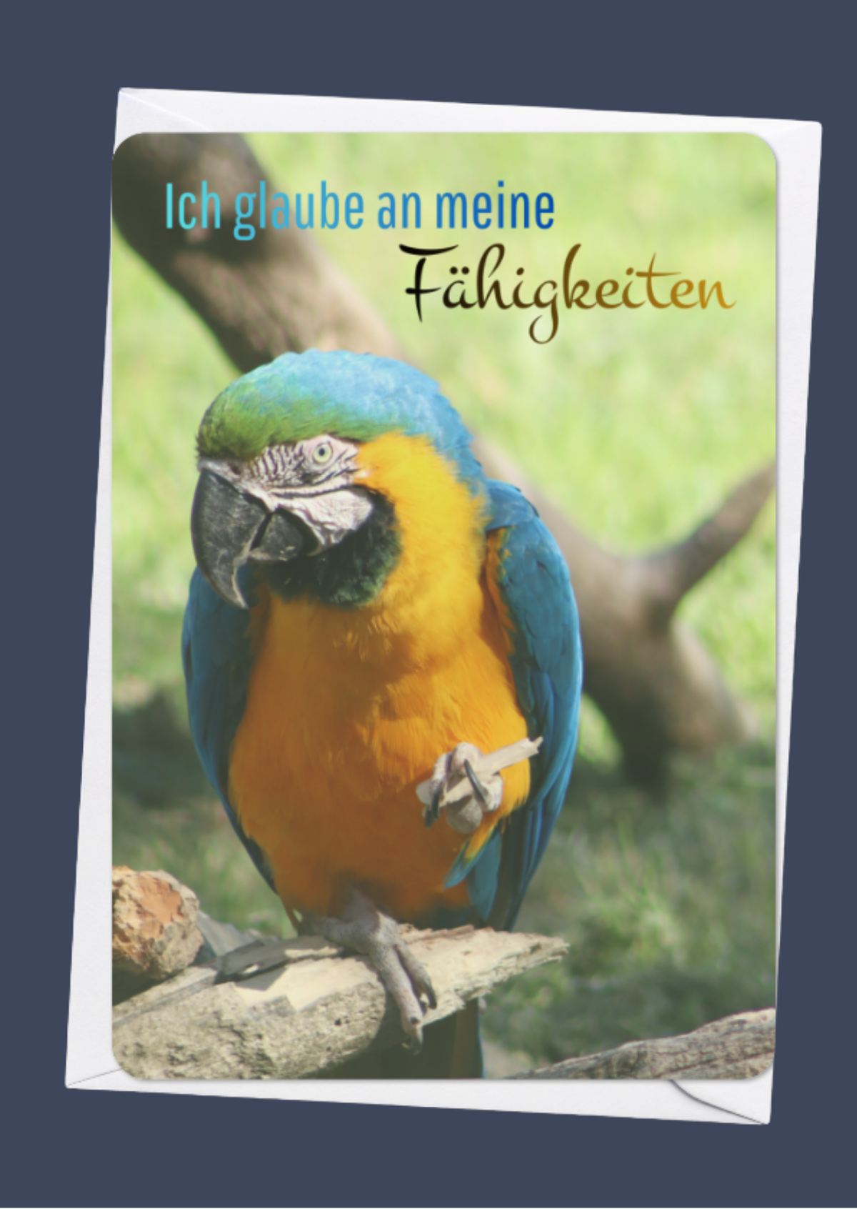 Ich glaube an meine Fähigkeiten
