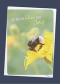 Ich bin im Hier und Jetzt