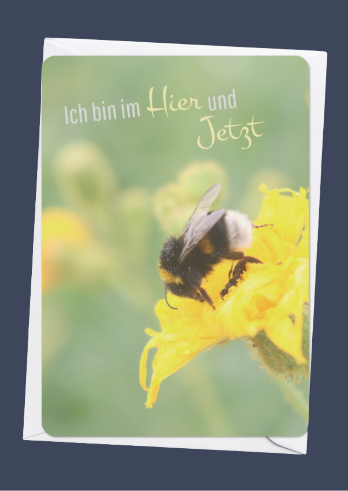 Ich bin im Hier und Jetzt