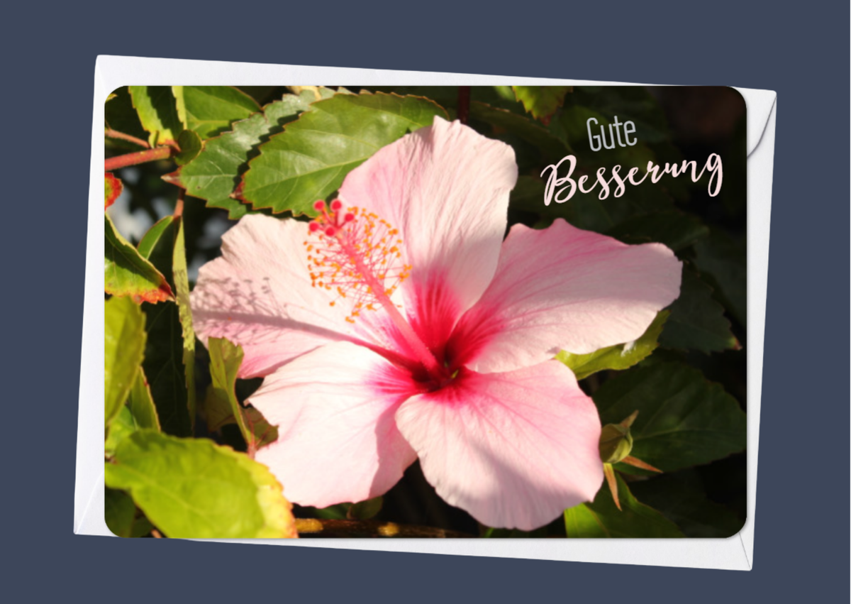 Gute Besserung - Blume
