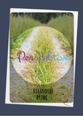 Perspektive - Verändere Deine