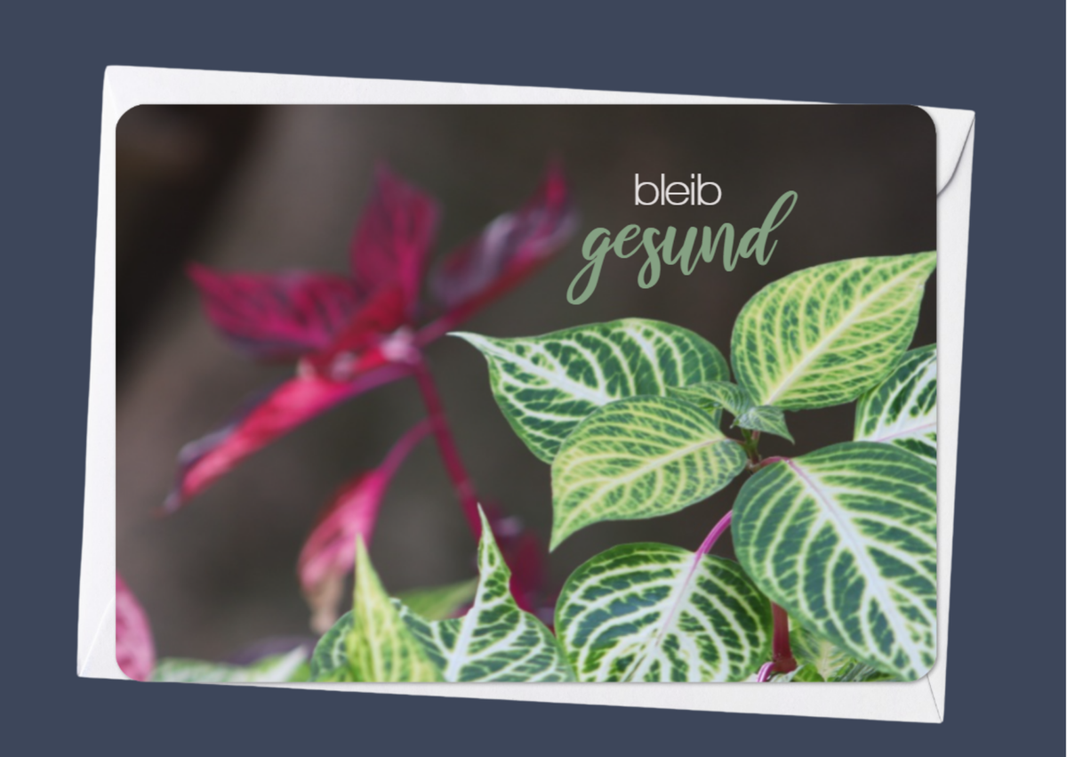 Bleib gesund