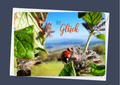 Viel Glück
