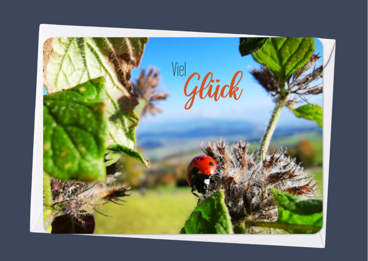 Viel Glück