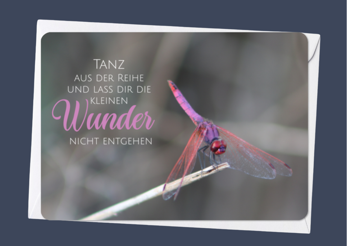 Kleine Wunder