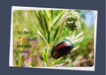 Das Leben ist kunterbunt