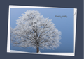 Winterzauber