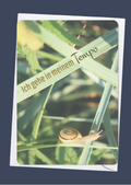 Ich gehe in meinem Tempo